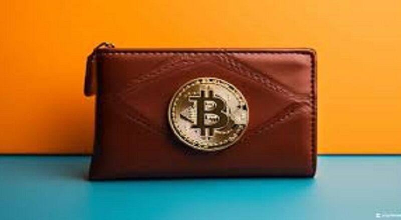 Top 8 Crypto Wallets